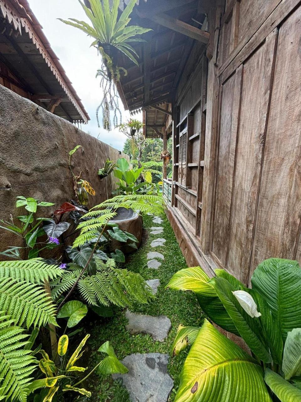 Umah Capung Sebatu Villas Tegallalang  Exterior photo